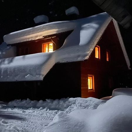 Digital Detox Chalet Pokljuka Goreljek Bagian luar foto