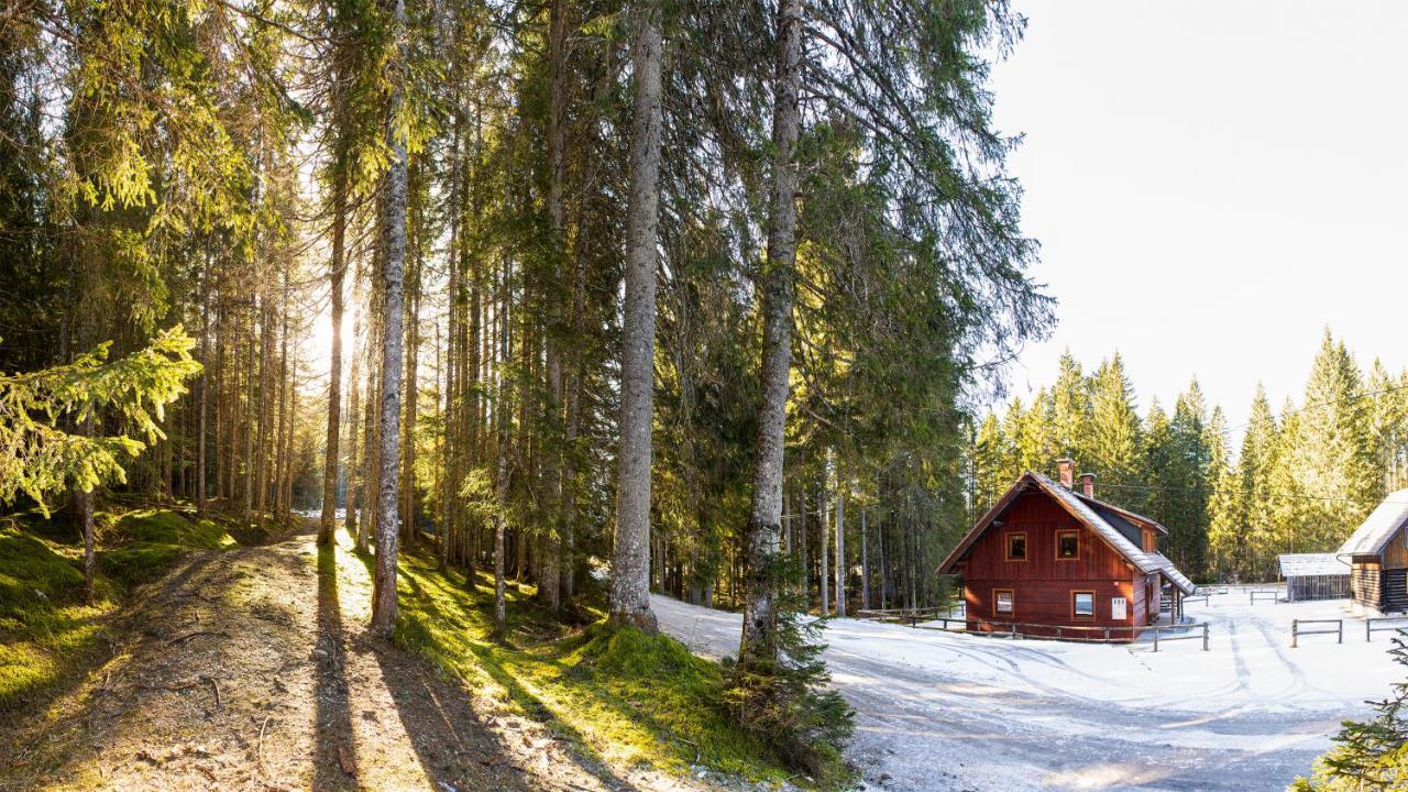 Digital Detox Chalet Pokljuka Goreljek Bagian luar foto