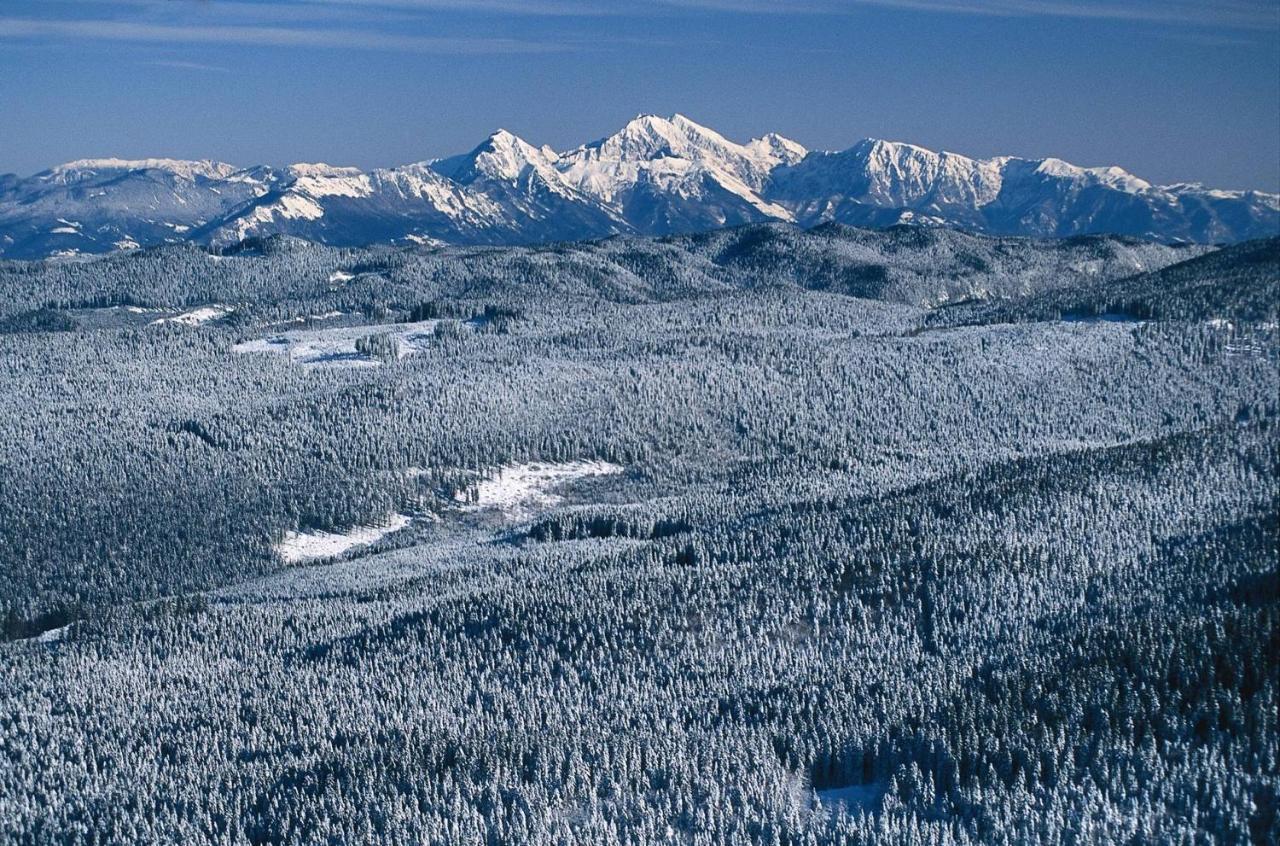 Digital Detox Chalet Pokljuka Goreljek Bagian luar foto